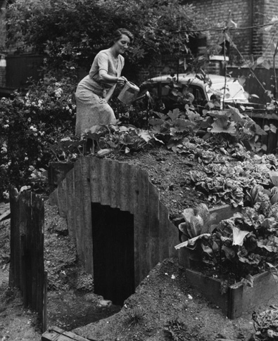 ww2_vegetables_on_anderson_shelter